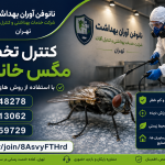 سمپاشی مگس
